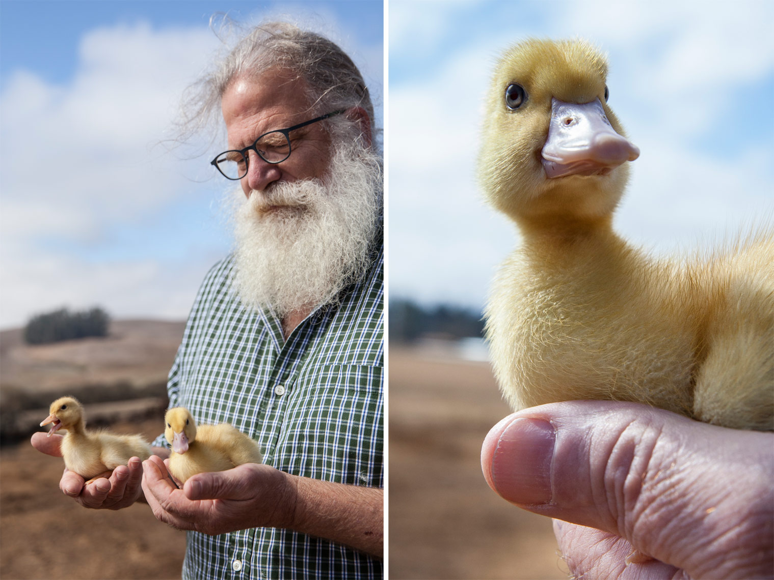 Jim Reichardt and duckling